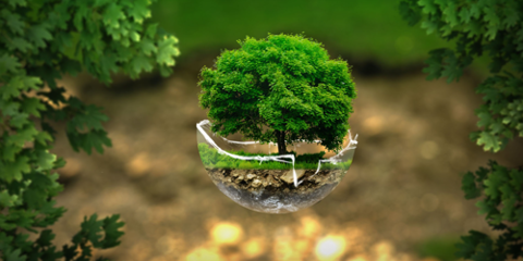 Corporate Social Responsibility