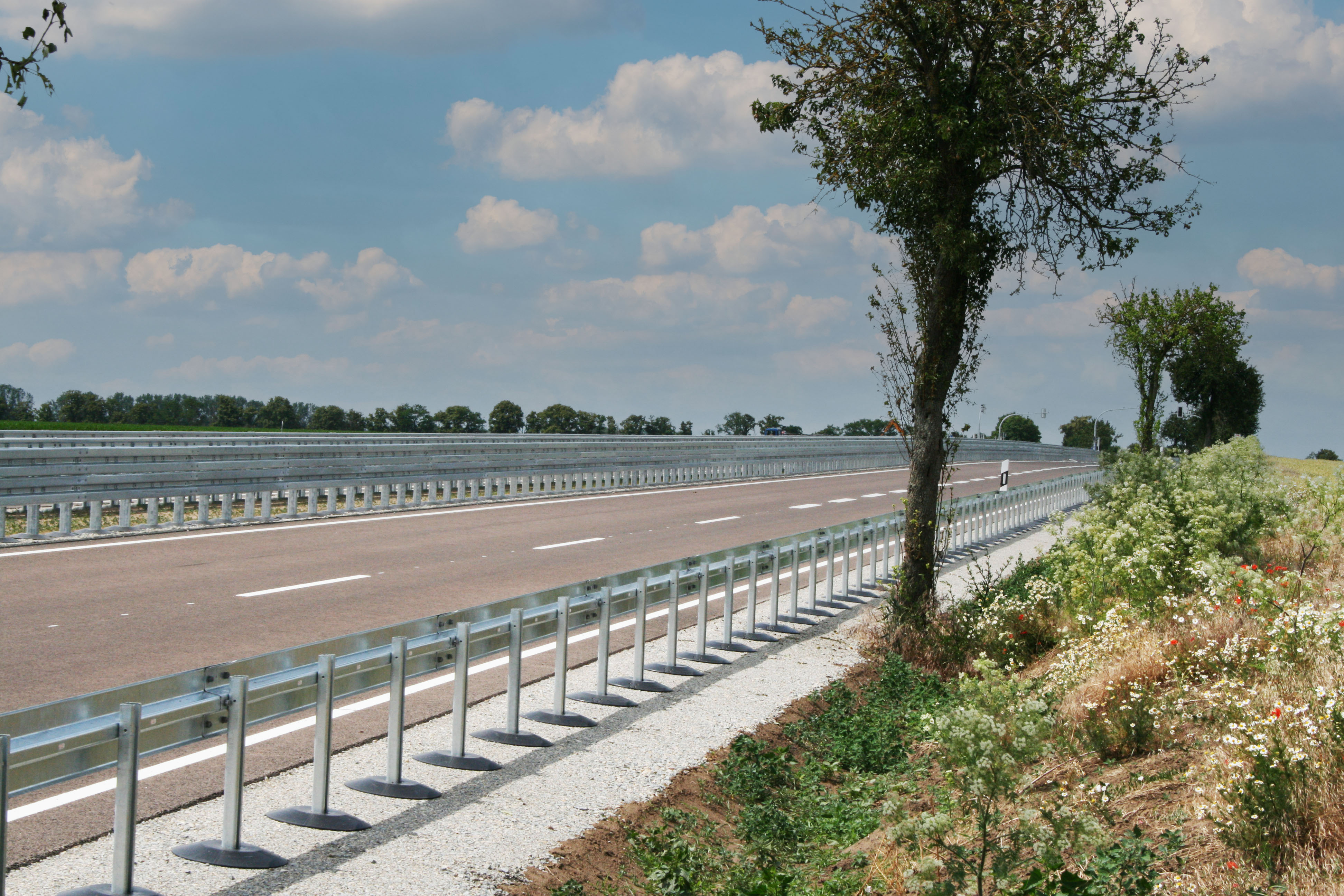 Super-Rail und Eco-Safe schützen Fahrbahn und Baumbestand