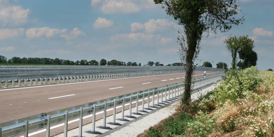 Super-Rail und Eco-Safe schützen Fahrbahn und Baumbestand